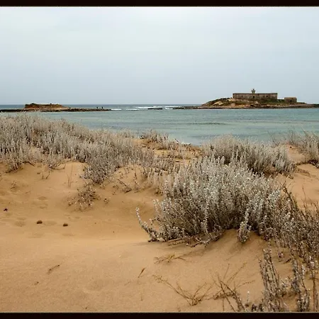 شقة Anna's House Near The Sandy And With Wifi *