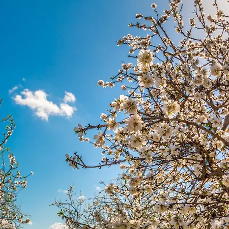 Anna's House Near The Sandy And With Wifi