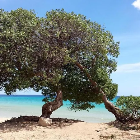 شقة Anna's House Near The Sandy And With Wifi أفولا