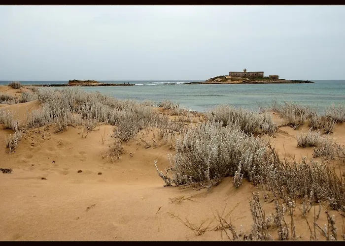 Lejlighed Anna's House Near The Sandy And With Wifi *