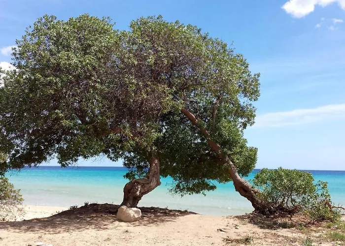 Lejlighed Anna's House Near The Sandy And With Wifi Avola