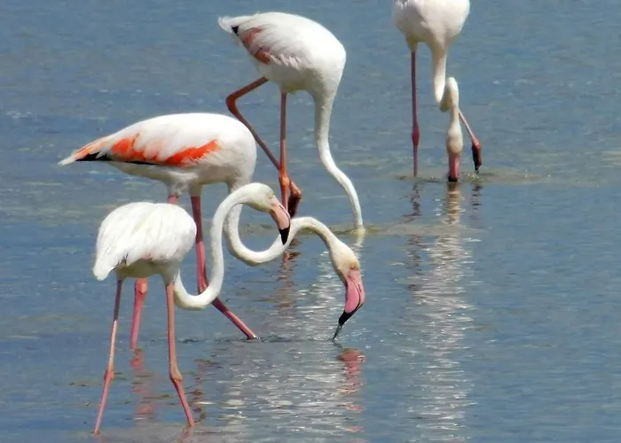 Lejlighed Anna's House Near The Sandy And With Wifi *